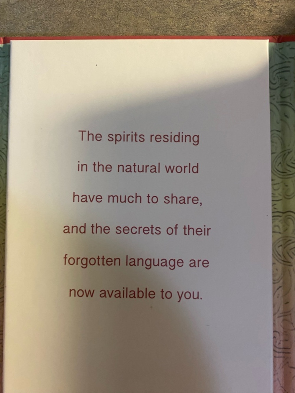 Colette Baron-Reid The Spirit Animal Oracle - Pastel Gradient Box - Picture 3 of 8